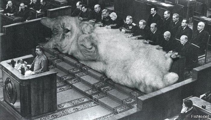 ПЛЕНУМ ЦК КПКИС КИС
